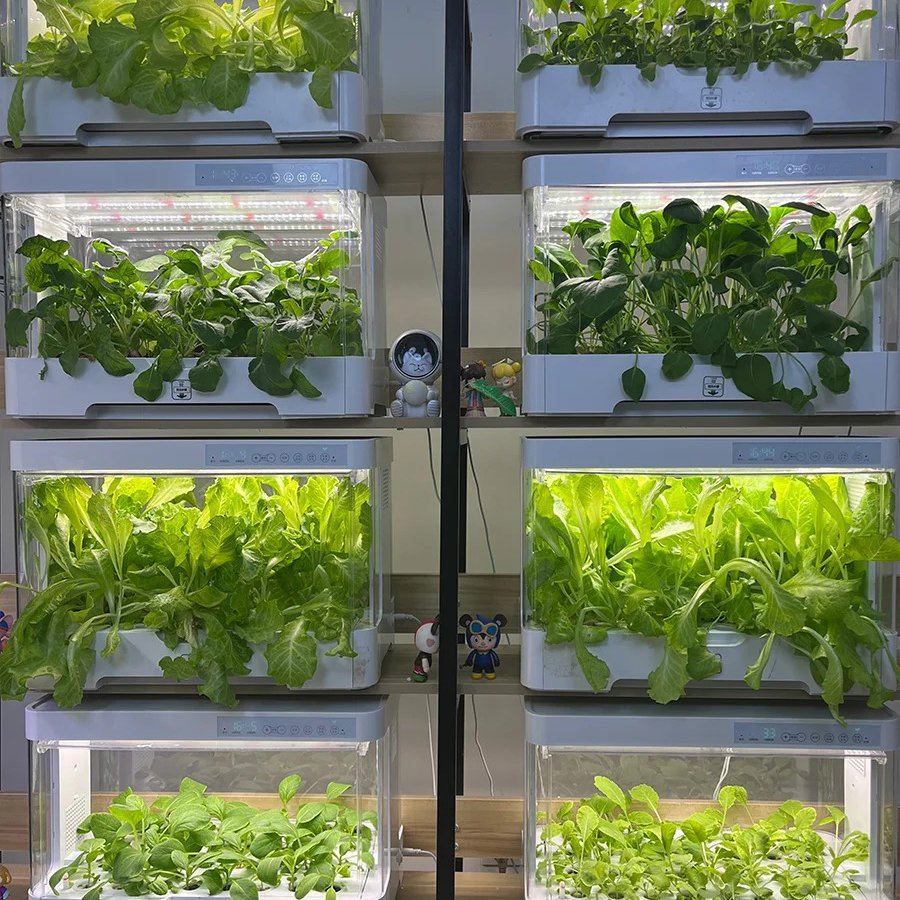 Restaurant Screen Rockery Landscape Decorative Ornaments Pump