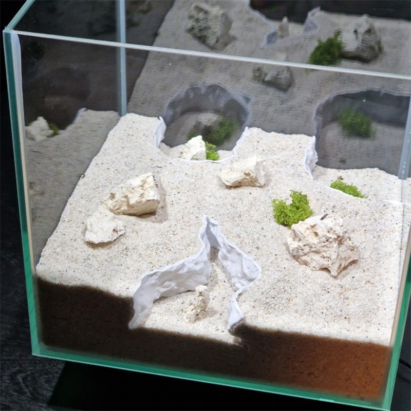 Eye Catching Fish Tank Accessories Ornaments for All Season Use Pet Product