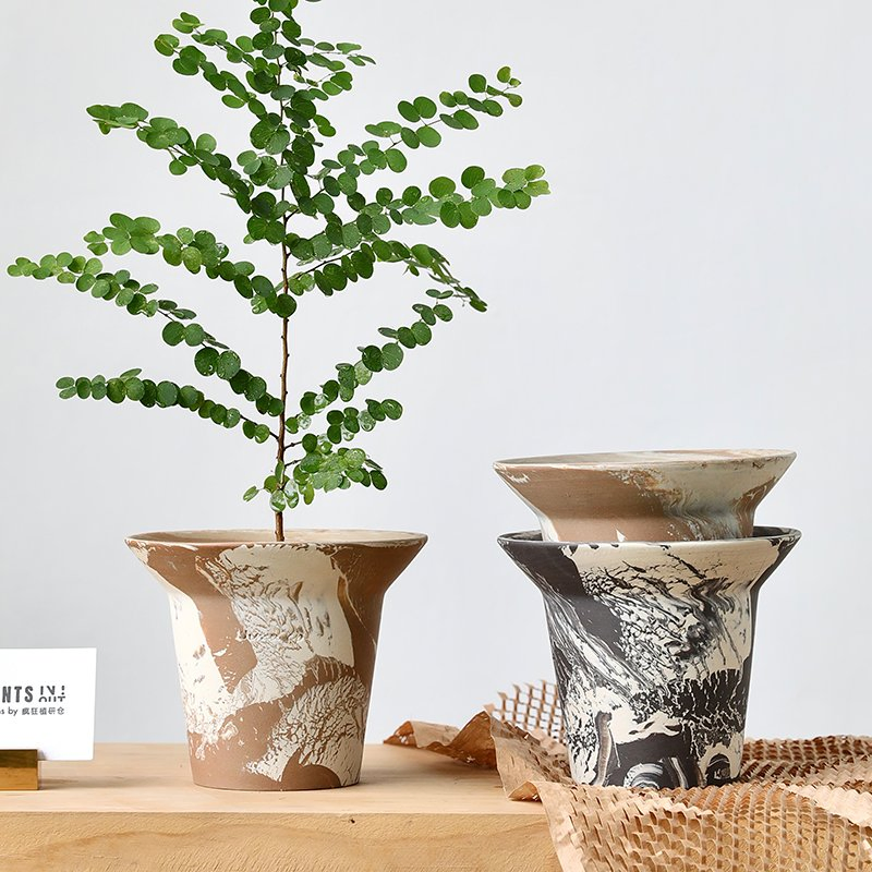 Unique Textured Succulent Planter for Stylish Home Decor