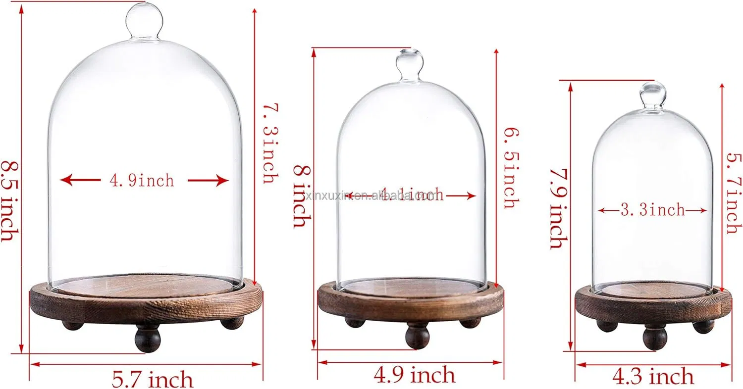 Stylish Glass Dome with Base for Preserved Flower Displays