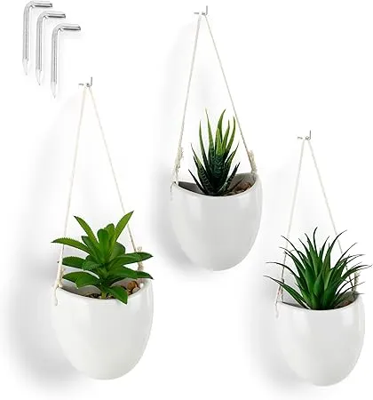 Hanging Planter Side View