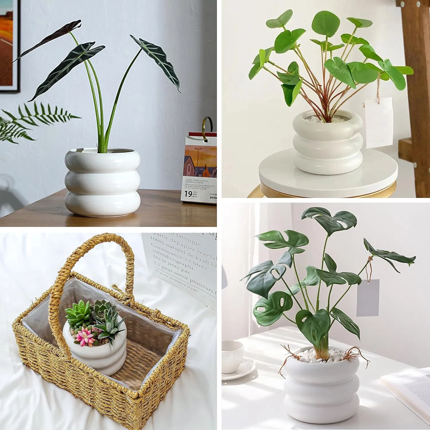 4.7 Inch Modern Plant Pot White Ceramic Glaze Succulent Planters for Indoor Unique Pots