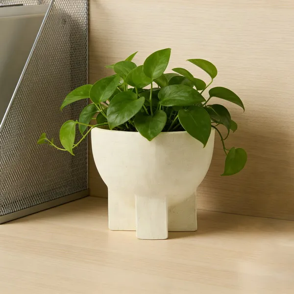 Ceramic Decoration 2