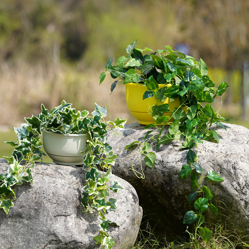 Self-Watering Hanging Flower Pot with Detachable Base for Gardens Bl17469