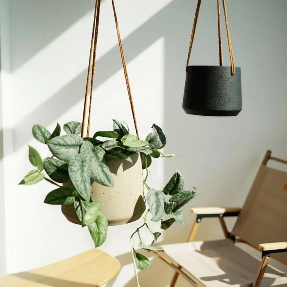 Hanging Balcony Potted Wall Hanging Cement Flowerpot for Succulents, Herbs, IVY, Ferns, Small Plants Bl19849