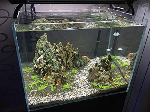 Good Quality Wholesale Fish Tank Glass Tank Landscape Rockery Decorative Ornaments