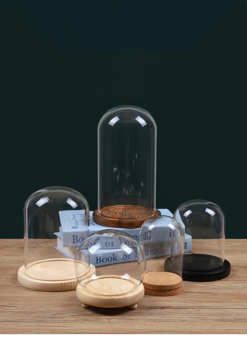 Glass Dome with Base