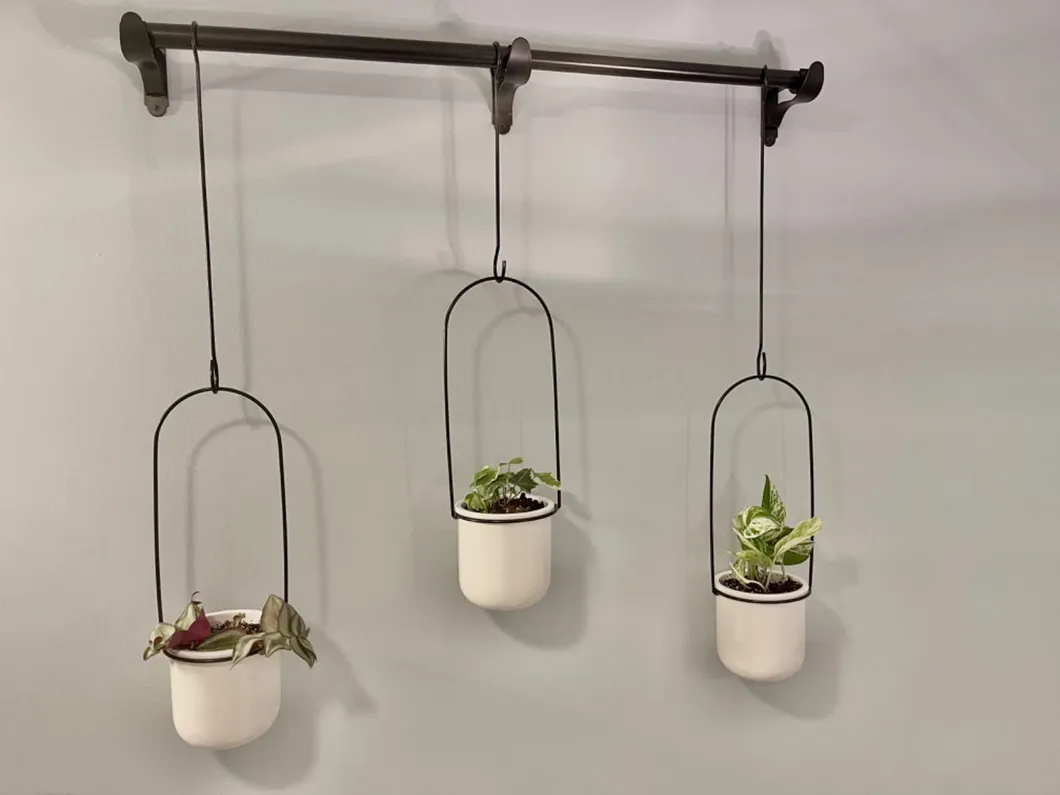Hanging Planter 1