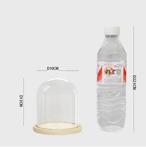 Glass Dome Display 9