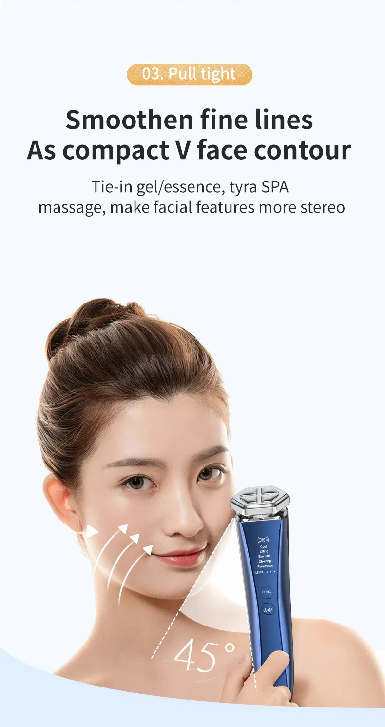 Professional Home Use Beauty Equipment RF Microcurrent Multifunctional Facial Skin Care Device