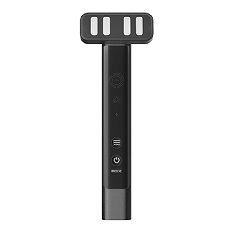 Handheld Beauty Salon Grade Face &amp; Neck Lifting Massager Deep Cleaning Skin Care Device EMS Facial Massager 6 LED Lights with Vibration Technology