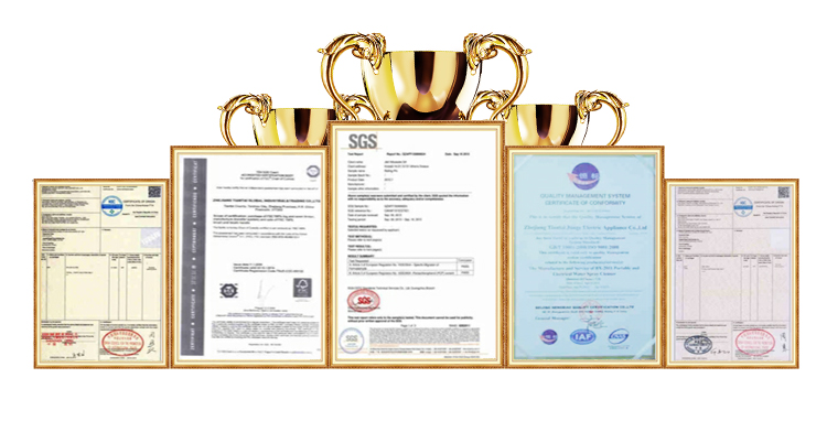 Certificate 2