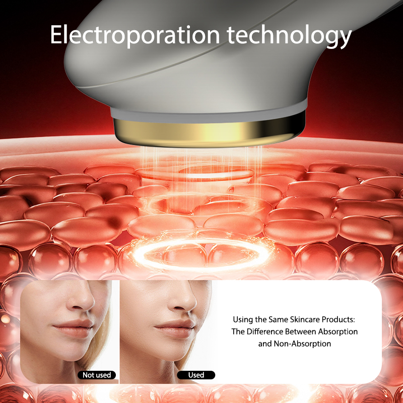 Anti Aging Chin Face EMS Lift Massager Device Color Light Skin Rejuvenation Massage Facial Neck Beauty Instrument LED Light for Sales