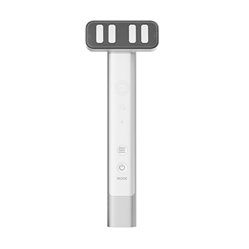 Handheld Beauty Salon Grade Face &amp; Neck Lifting Massager Deep Cleaning Skin Care Device EMS Facial Massager 6 LED Lights with Vibration Technology