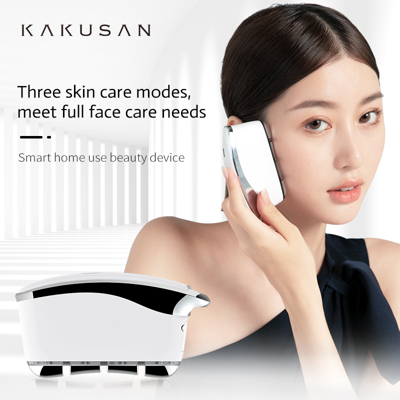 Portable Facial Electrostimulator Spa Vibrate Face Lift Acupuncture Guasha Massage Tool