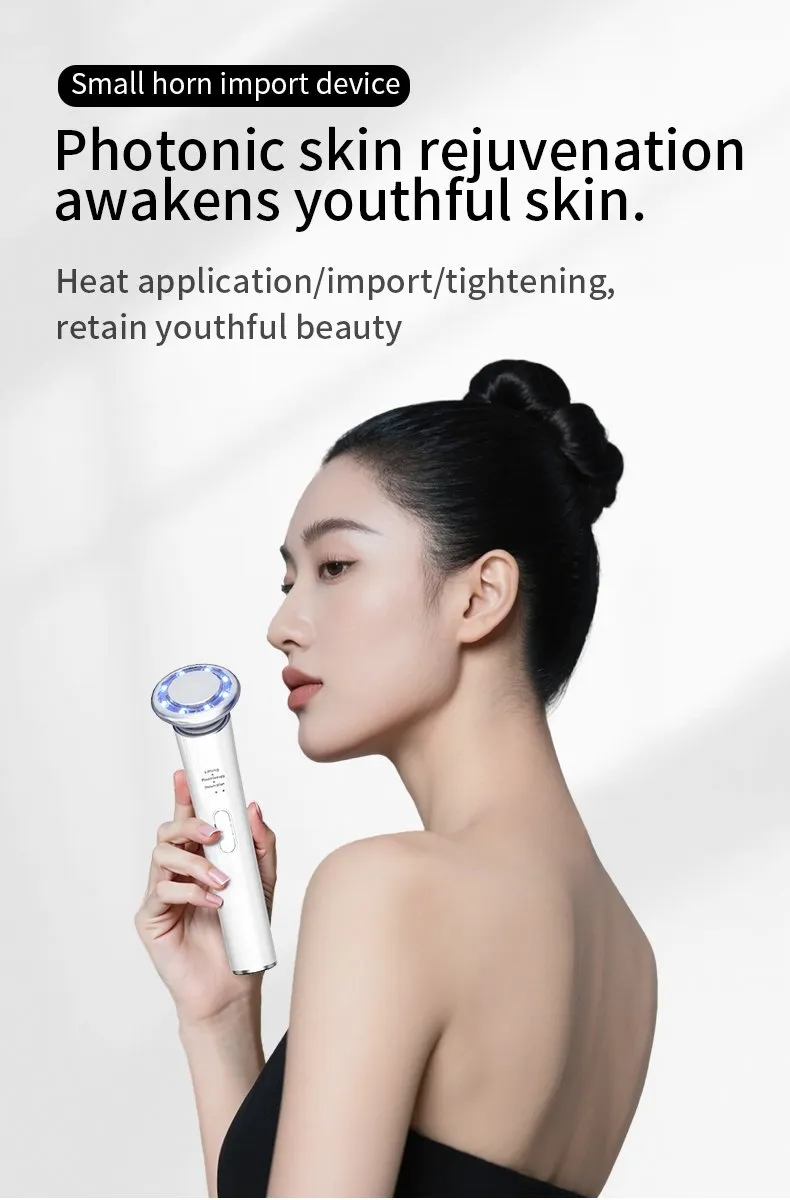 Home Use Beauty Equipment EMS Microcurrent Facial Toning Skin Care Rejuvenation Device