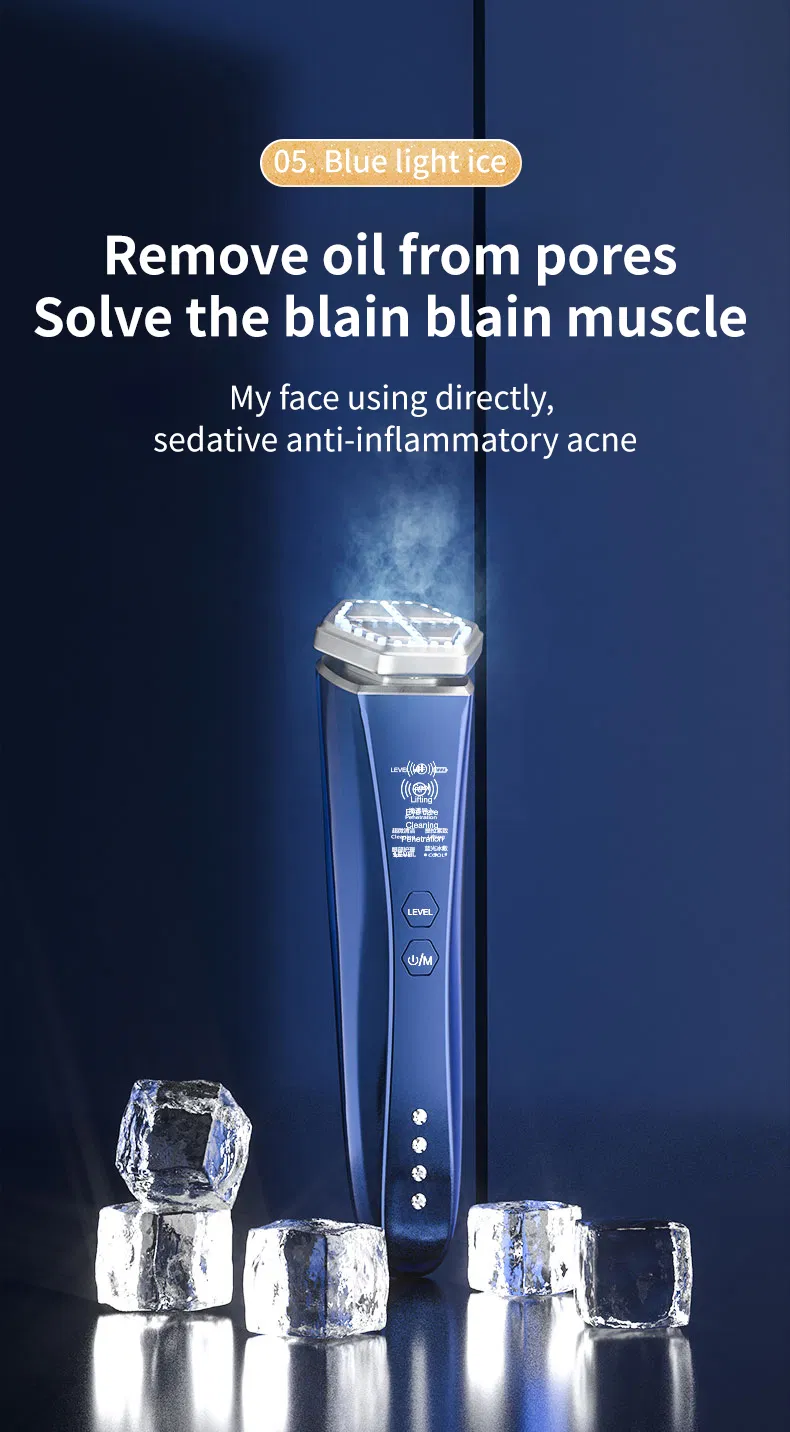 Professional Home Use Beauty Equipment RF Microcurrent Multifunctional Facial Skin Care Device