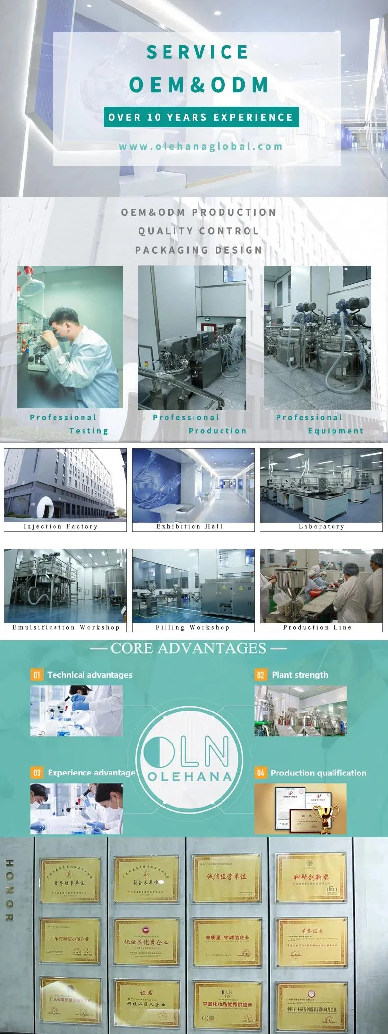 Why Choose Us Advantages Infographic