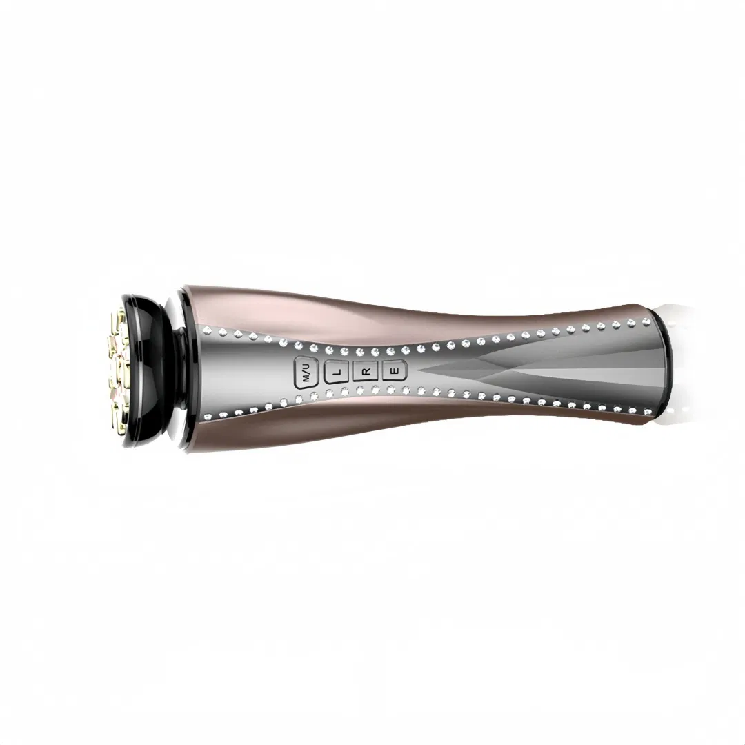 Luxury SPA EMS RF Pulse Mfip Facial Beauty Massager for Daily Makeup Use