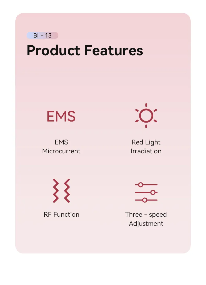 Skin Care Device Detail 2