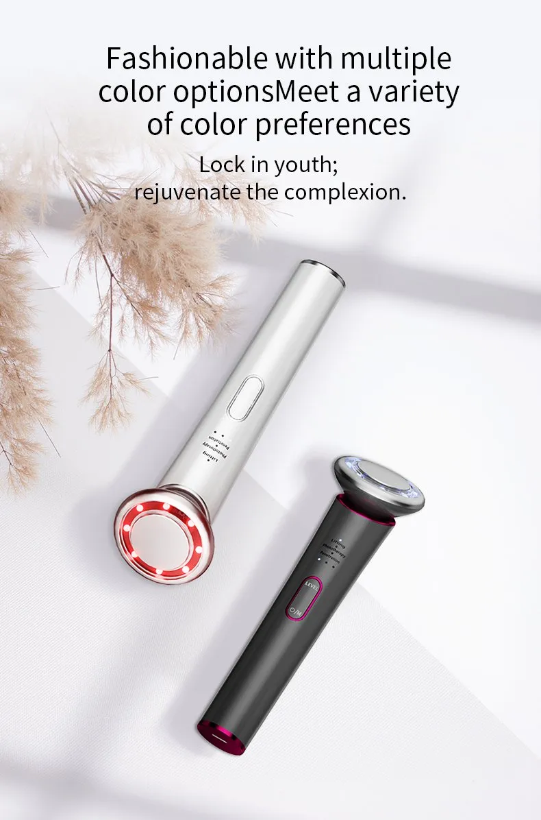 Home Use Beauty Equipment EMS Microcurrent Facial Toning Skin Care Rejuvenation Device