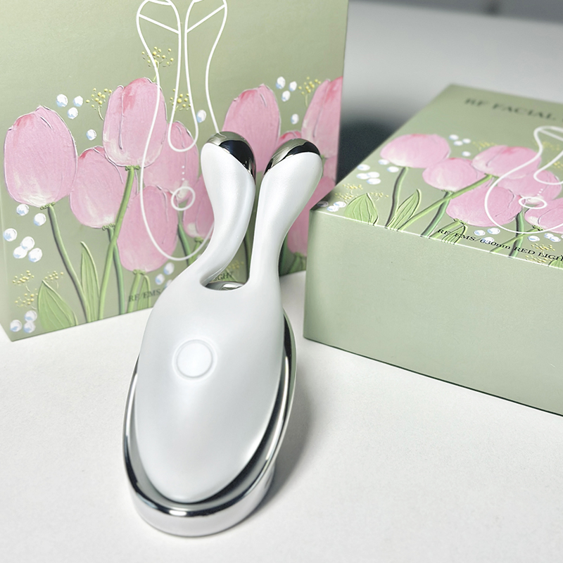 Home Use Beauty Equipment Micro Current EMS LED Photon Light Therapy Facial Massager Sonic RF Beauty Device Face Massager