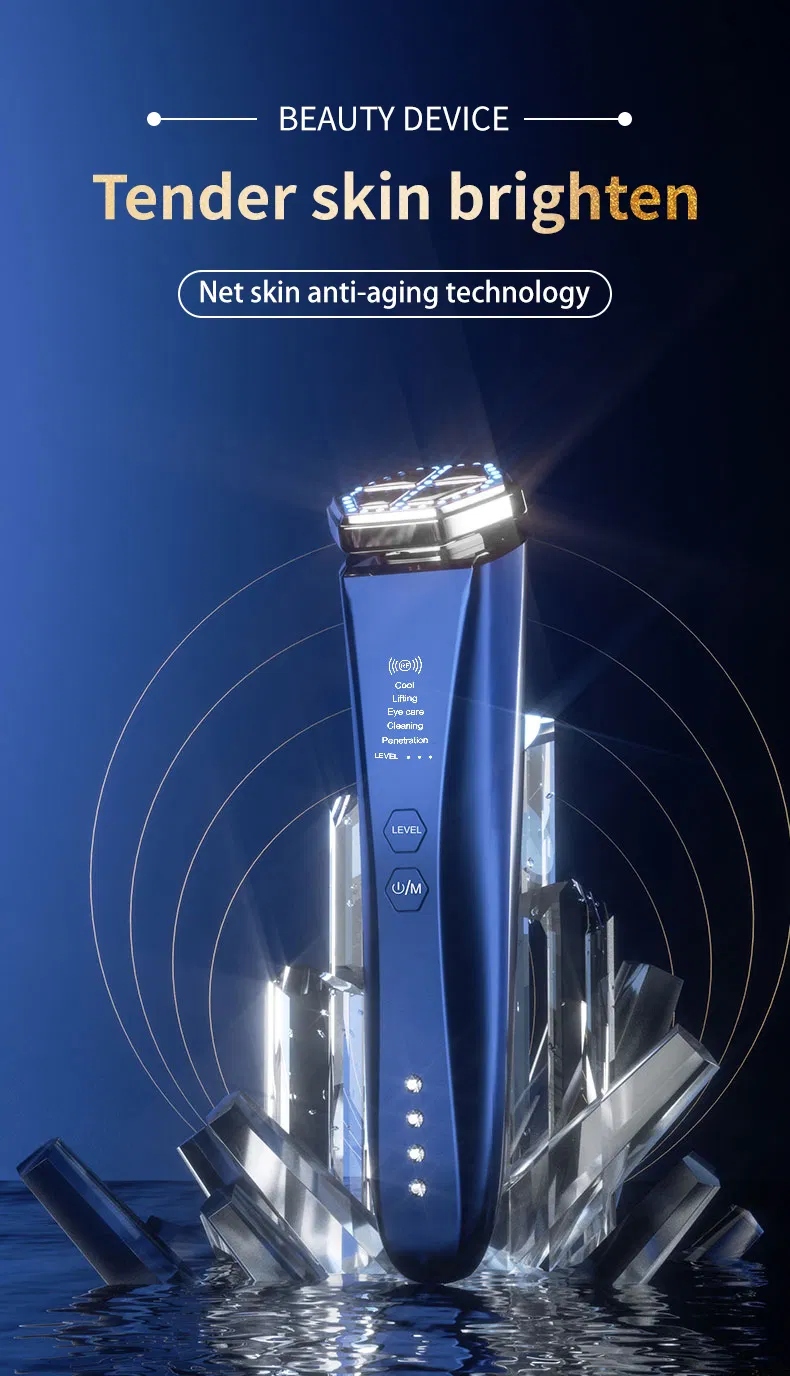 Professional Home Use Beauty Equipment RF Microcurrent Multifunctional Facial Skin Care Device