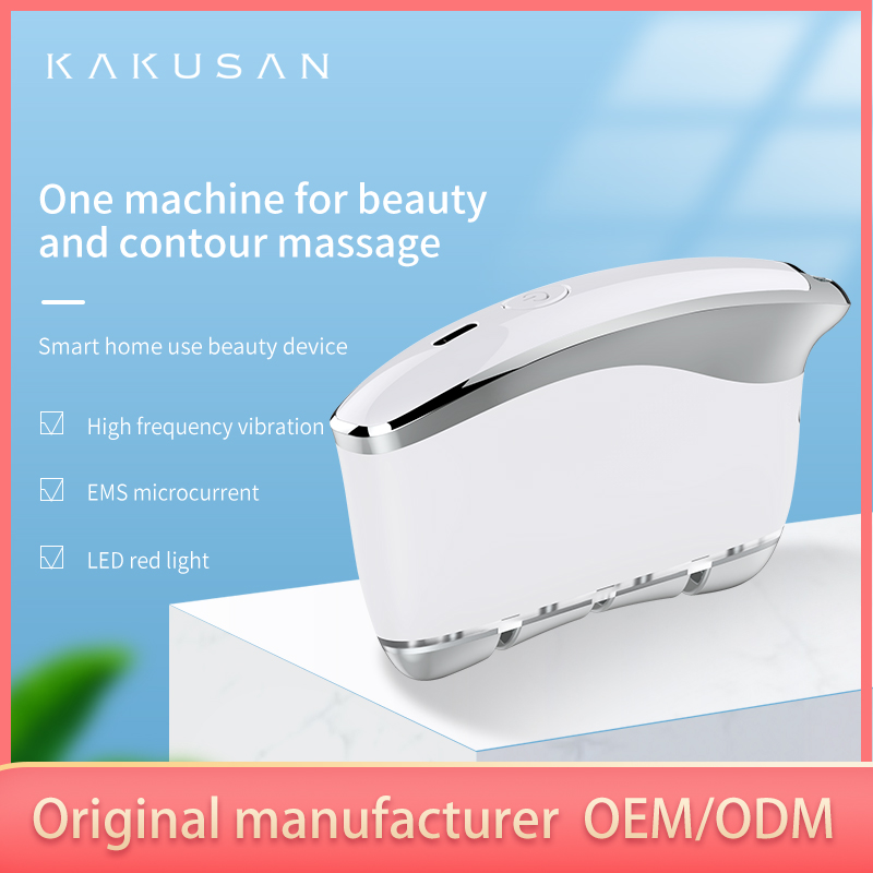 Portable Facial Electrostimulator Spa Vibrate Face Lift Acupuncture Guasha Massage Tool