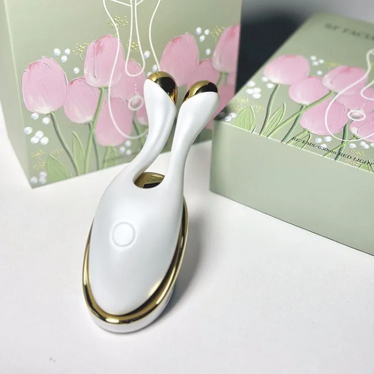 Home Use Beauty Equipment Micro Current EMS LED Photon Light Therapy Facial Massager Sonic RF Beauty Device Face Massager