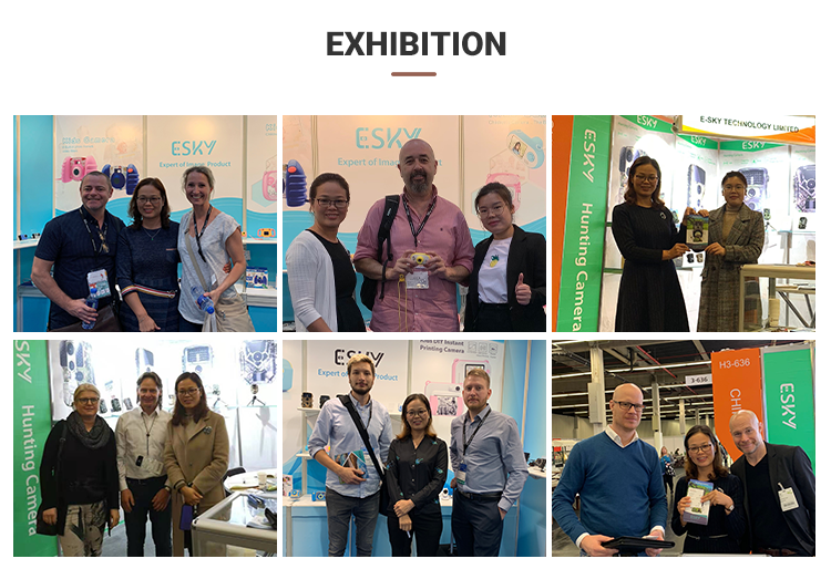 Exhibition Details