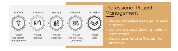 Professional Project Management