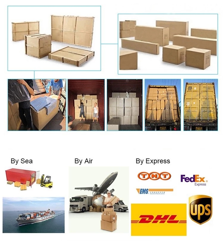 Shipping Info