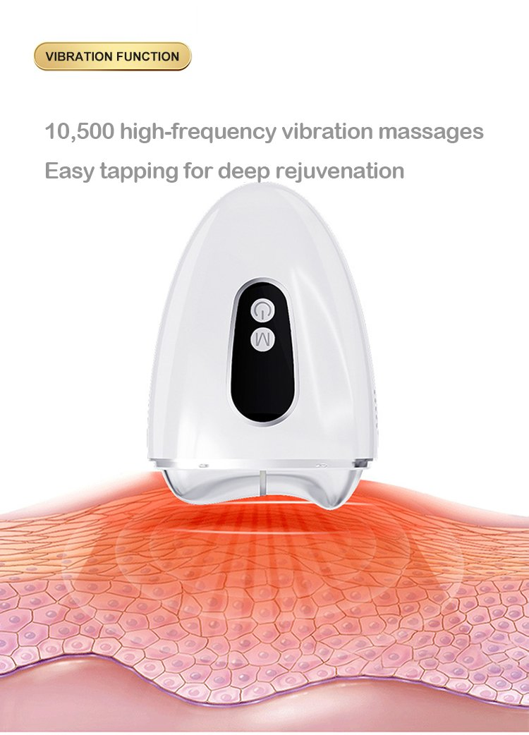 Cold Compress Beauty Instrument Home Facial Massager Scraping Instrument Hot Compress Micro Current Vibration Beauty Lamp