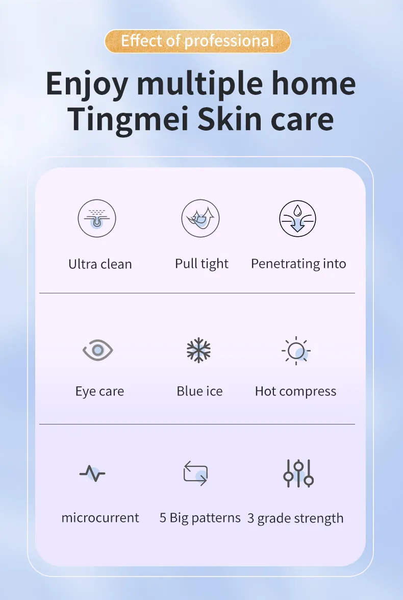 Professional Home Use Beauty Equipment RF Microcurrent Multifunctional Facial Skin Care Device