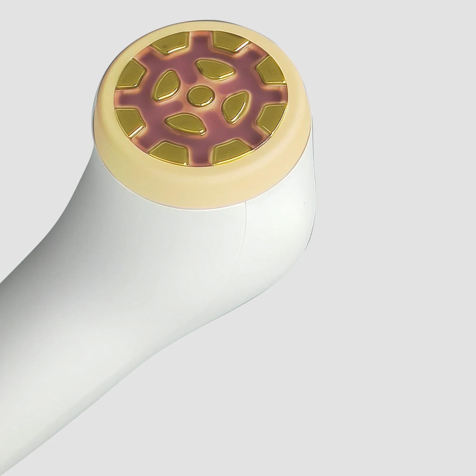 Professional Home Use Beauty Equipment Red Light Therapy Facial Massager RF+EMS Beauty Roller