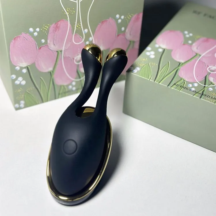 RF Beauty Device Package Contents
