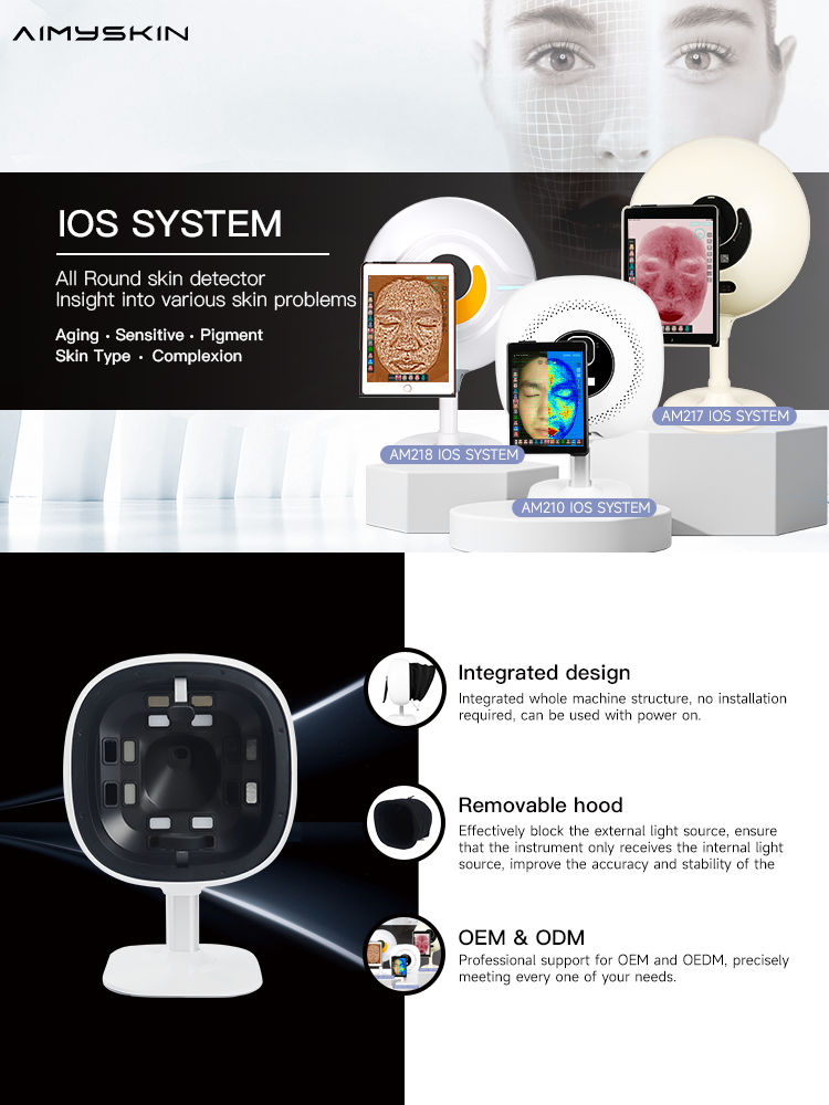 Product Layout 1