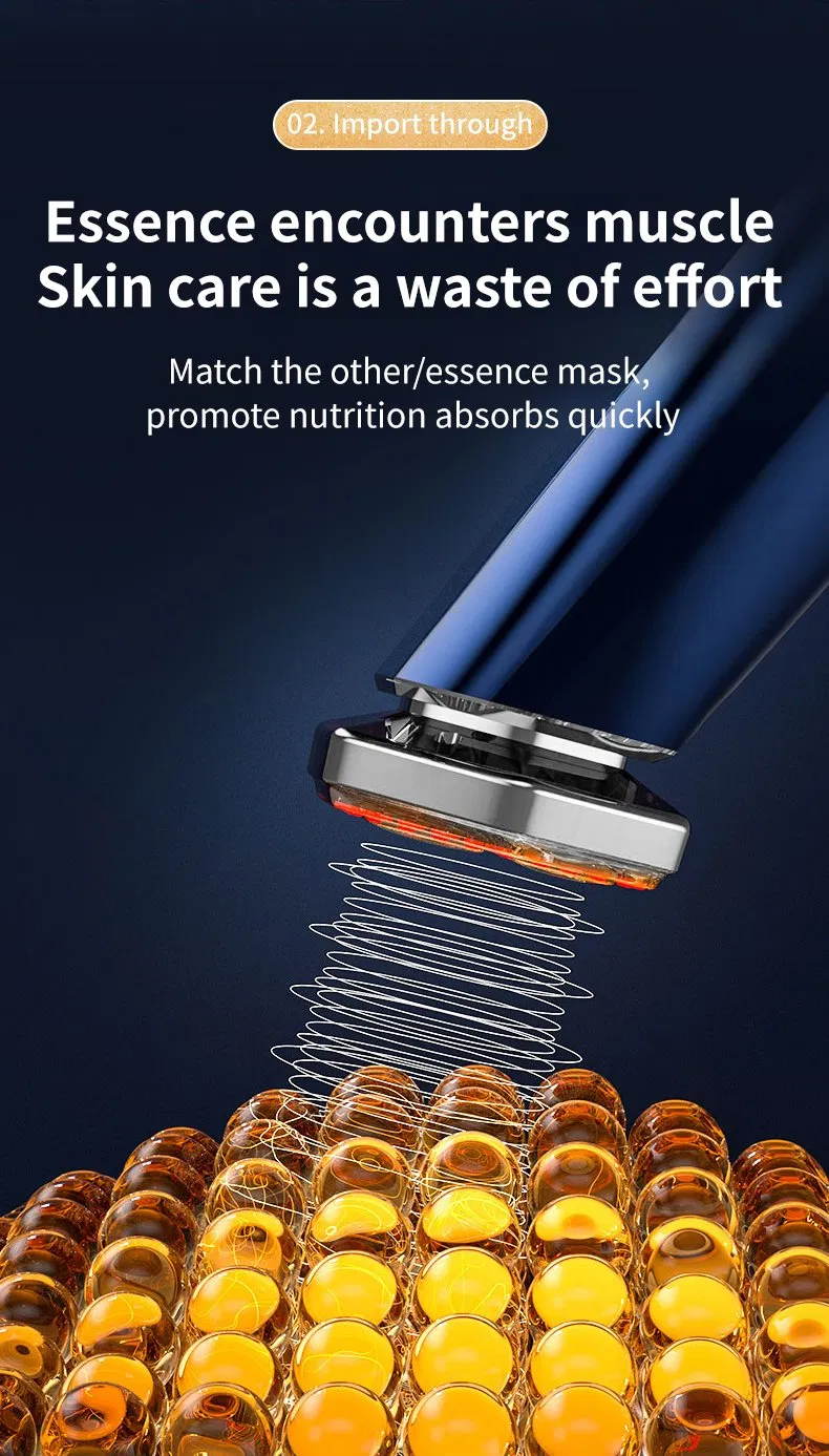 Professional Home Use Beauty Equipment RF Microcurrent Multifunctional Facial Skin Care Device
