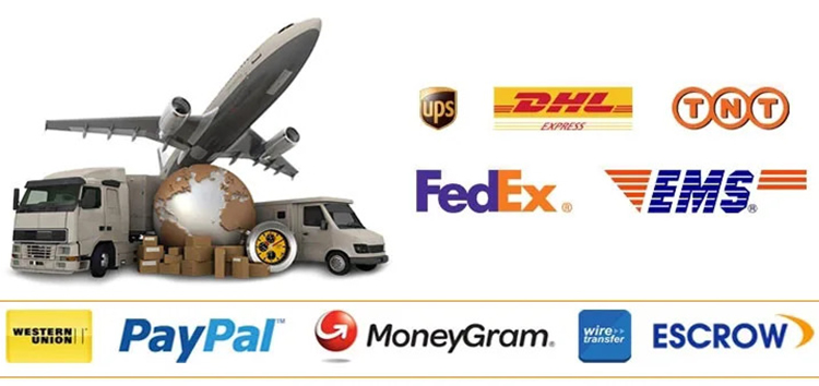 Shipping and Payment Methods