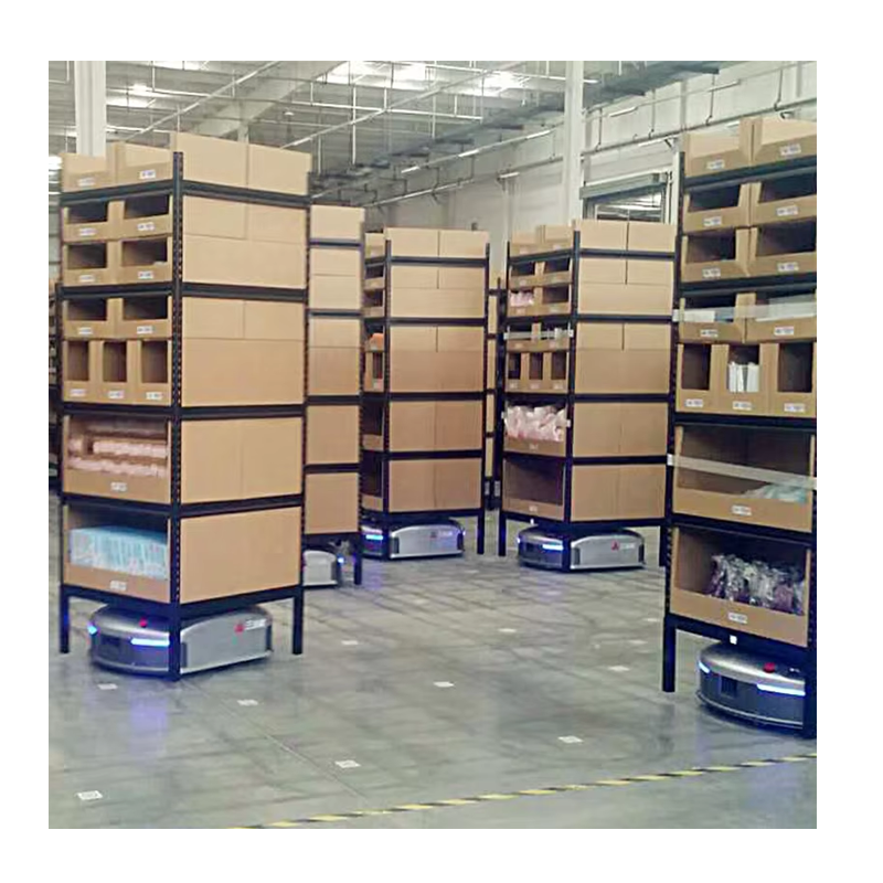 Single-Layer Load Can Reach About 50-100 Kg Agv Rackling for Intelligent Robot Warehouse