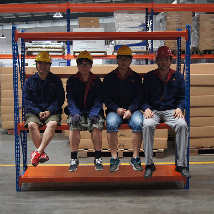 Cold Rolled Heavy Duty 800Kg Storage Steel Shelves Systems Metal Racks for Industrial Warehouse
