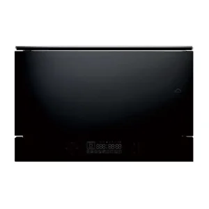 China ZK22Q-S1 Steam Oven