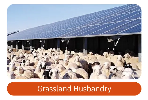 Solar Pump Application 2