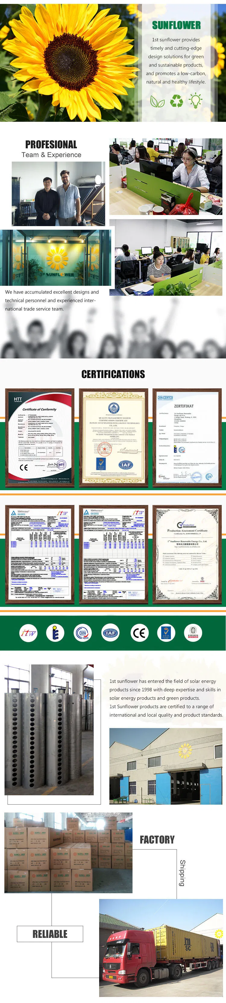 Our Team and Factory