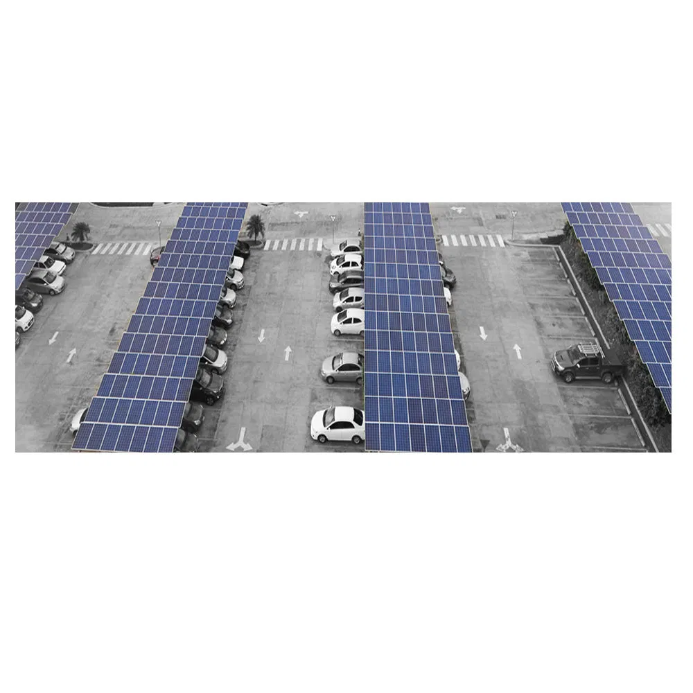 Professional Solar Carport Manufacturers Aluminum Black High-Tech Solar Carport Solution with Customized Logo and Reliable Durability