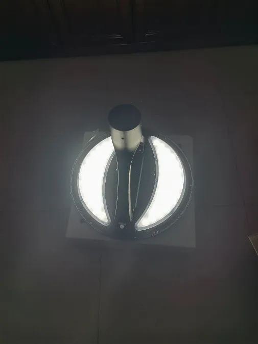 Solar Yard Light Solution 1