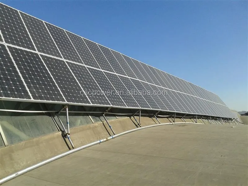 Our Team and Facility