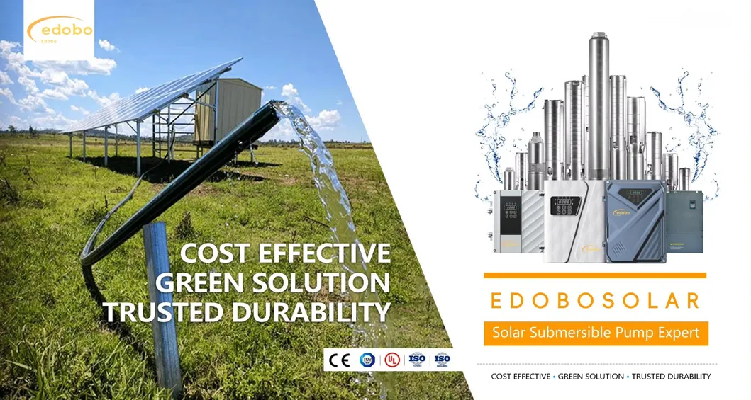 Solar Powered DC Water Pump System