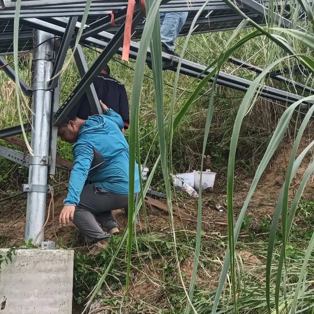 Reliable Solar Farm Structure Manufacturer Providing S355 G450 Q355b Steel Mounting Solutions Worldwide