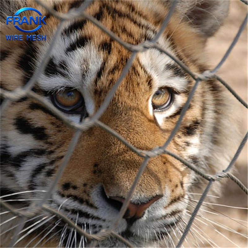 China Hot Sale Factory Price Flexible 304/316 Hand Woven Stainless Steel Knotted Wire Rope Cable Mesh for Zoo Security Fence Aviary Protective Net